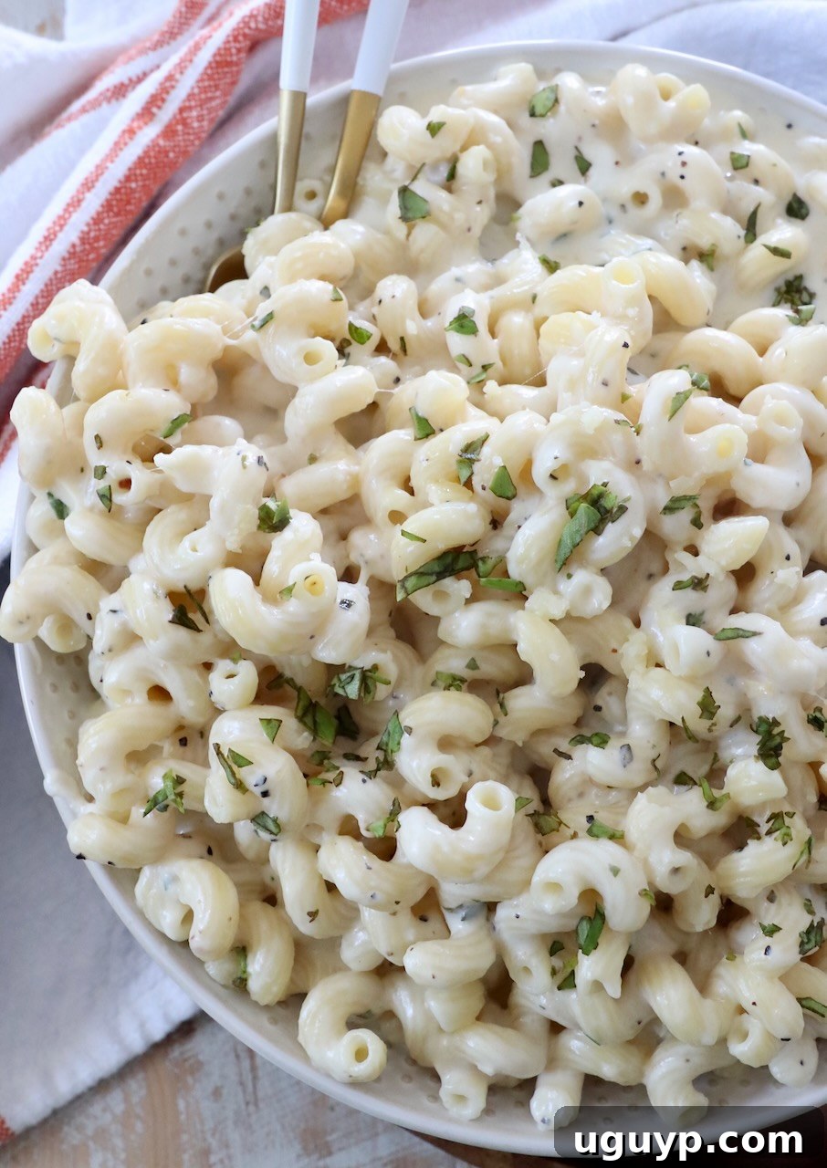 creamy cavatappi pasta in bowl with forks