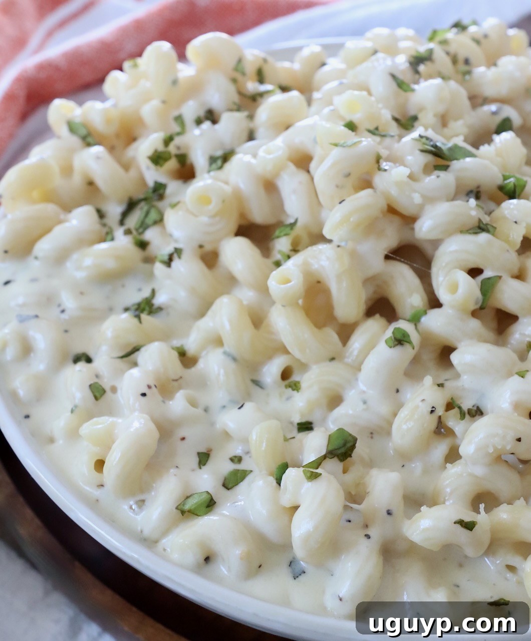 pasta in creamy sauce in bowl