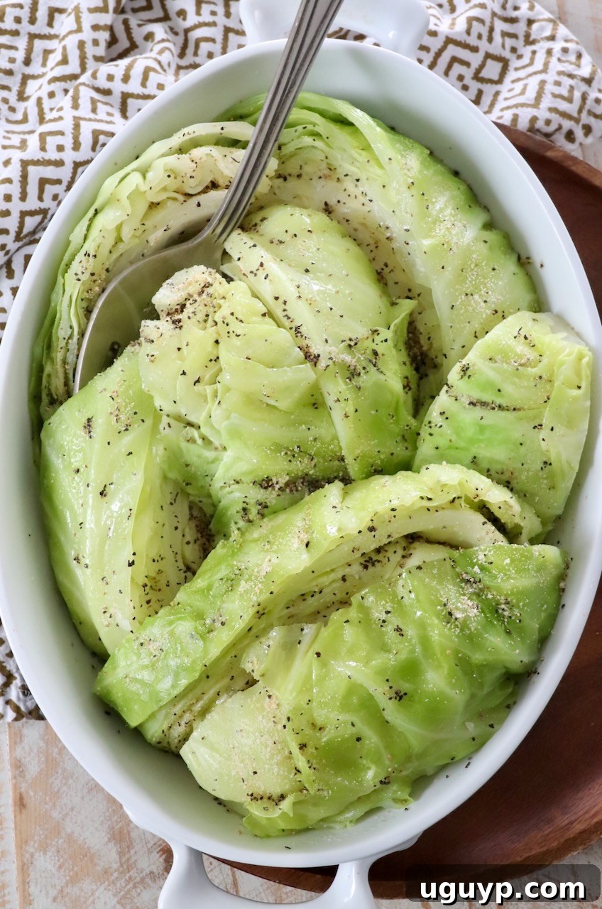 A vibrant serving of perfectly steamed cabbage, ready to complement a main course.