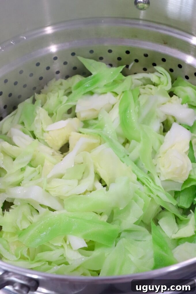 Finely shredded cabbage nestled in a metal steamer basket, ready to be placed into a cooking pot for steaming.
