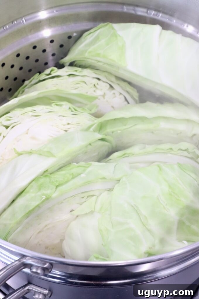Large, neatly cut cabbage wedges arranged within a steamer basket, positioned over a pot of boiling water, ready for steaming.