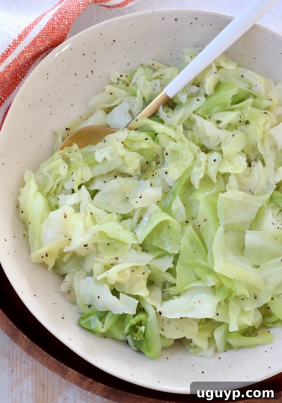 A bowl of finely shredded steamed cabbage, seasoned and ready to eat, with a serving spoon resting inside.