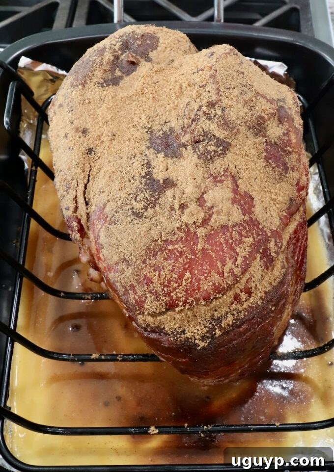 brown sugar covered spiral ham in a roasting pan, prepared for broiling