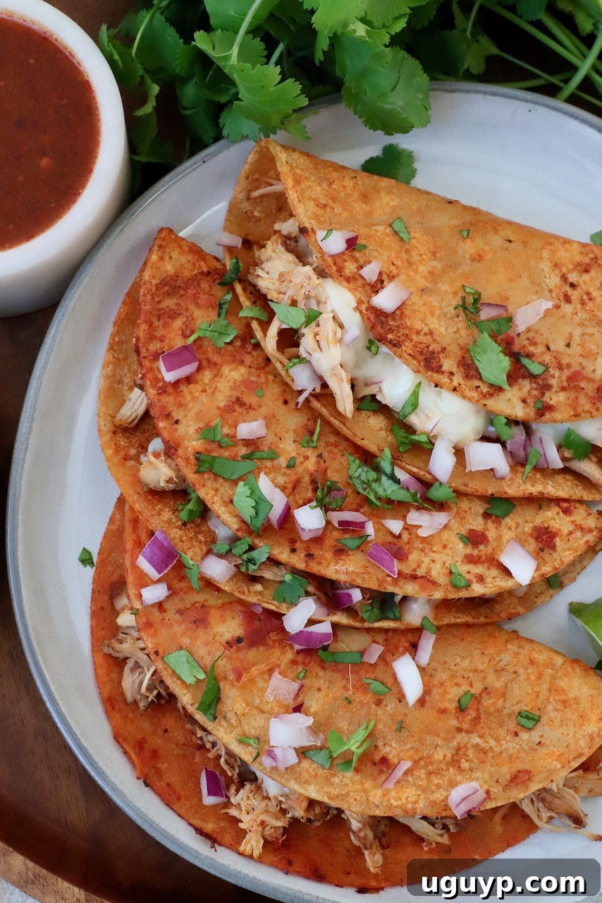 chicken birria tacos on plate with sauce in small bowl on the side