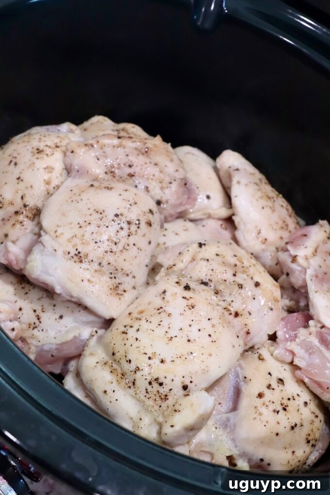 seared chicken thighs in slow cooker