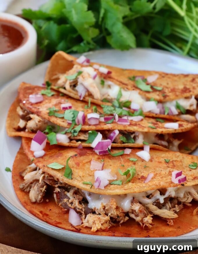 chicken birria tacos on plate