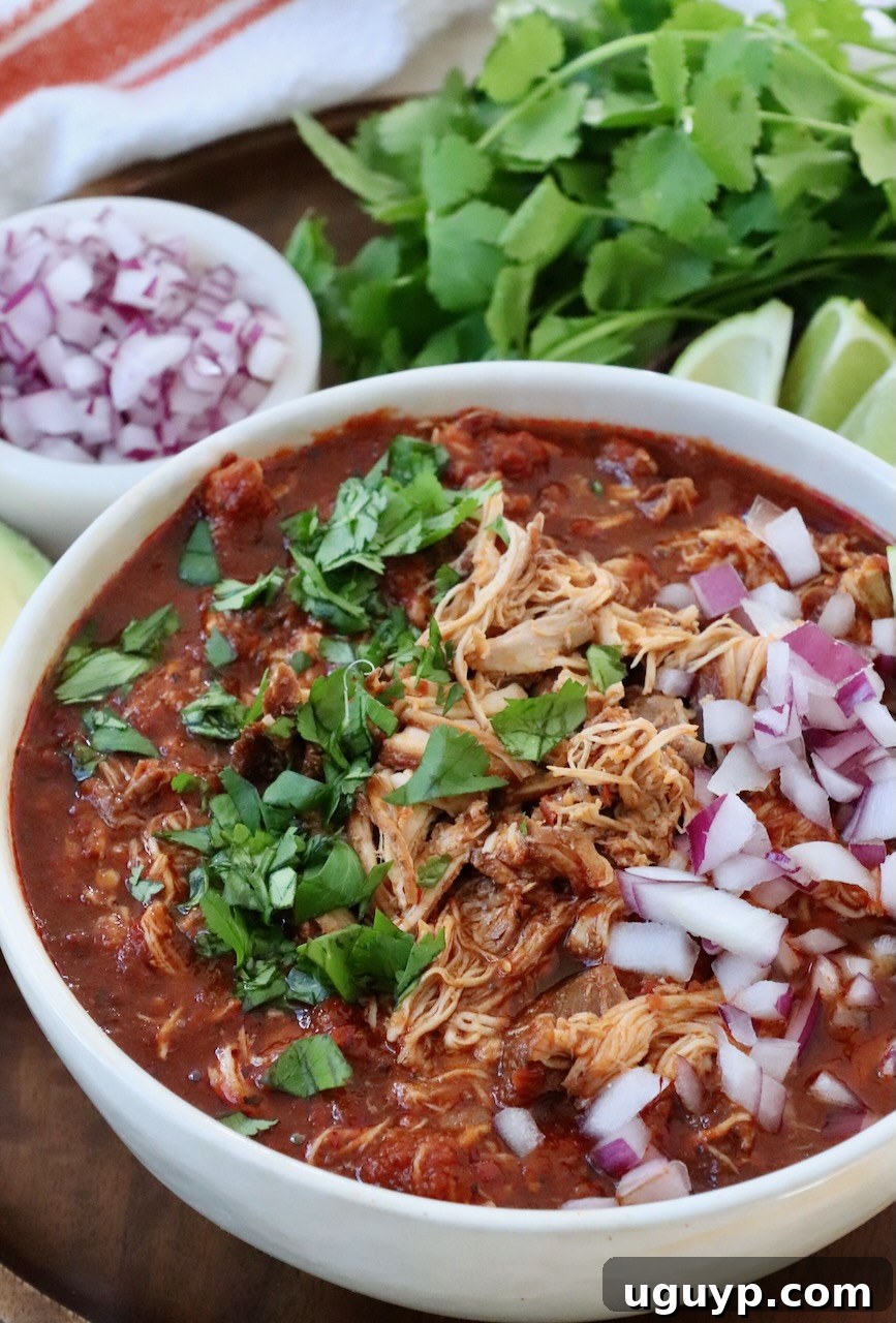 chicken birria in bowl topped with fresh cilantro and diced red onions