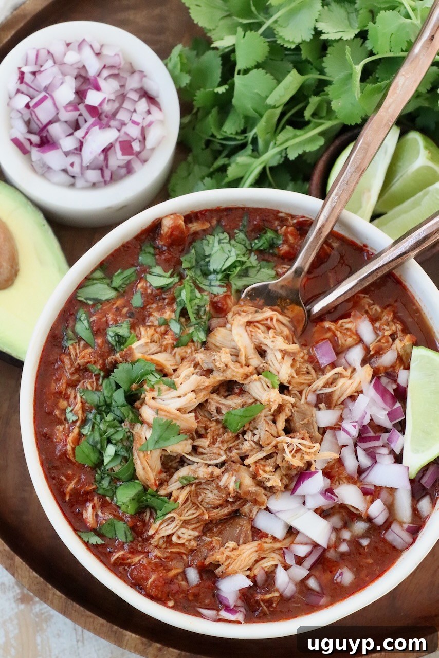 shredded chicken in birria broth in bowl with forks