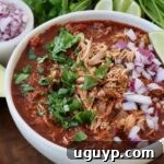 shredded chicken with birria broth in bowl topped with diced onions and cilantro