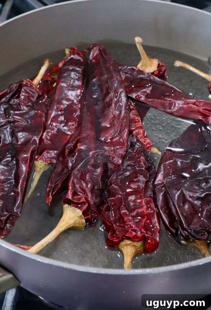 dried chiles in pot of water