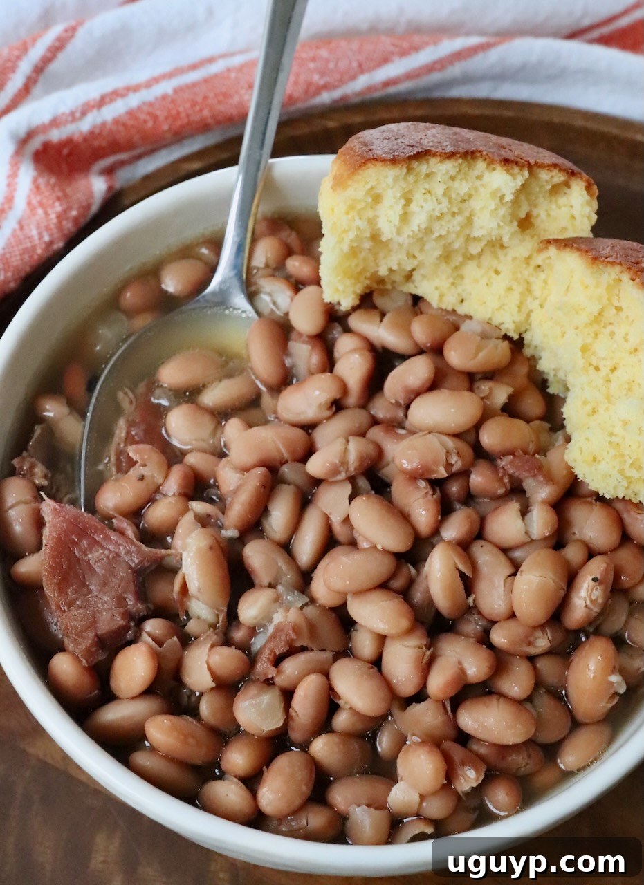 A bowl of steaming Southern-style pinto beans with a spoon and a cornbread muffin on the side, ready to be enjoyed.