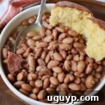 A close-up of a serving of Southern-style pinto beans with cornbread, highlighting their comforting appeal.