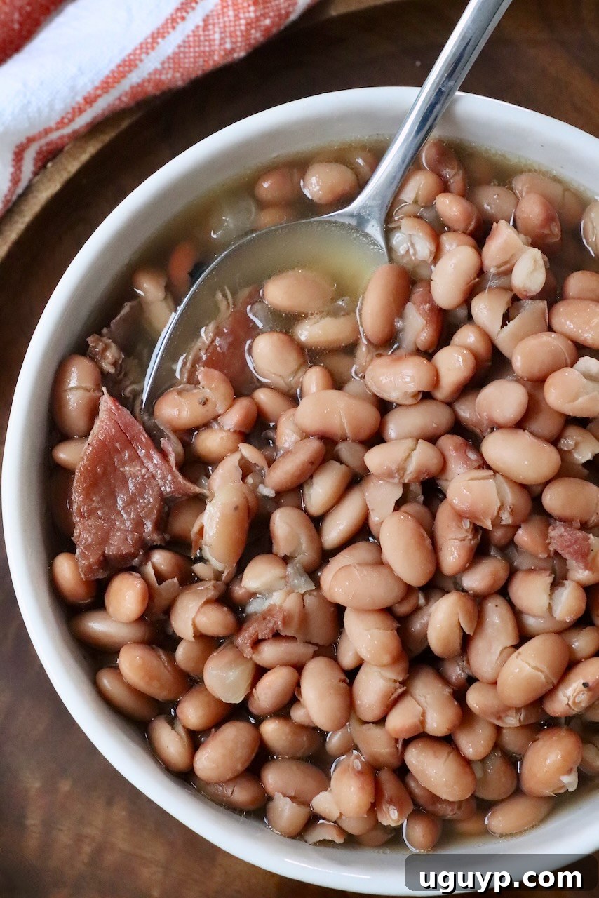 A close-up of perfectly cooked pinto beans in a bowl with a spoon, highlighting their rich color and tender texture.
