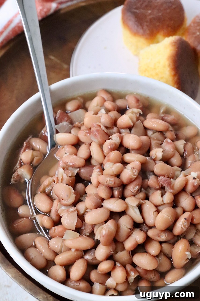 A large bowl of hearty pinto beans with a spoon, ready to be served and enjoyed as a comforting meal.