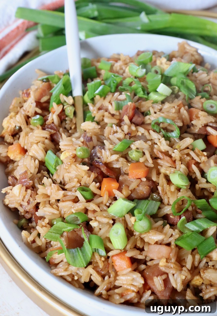ham fried rice in bowl with spoon, garnished with green onions