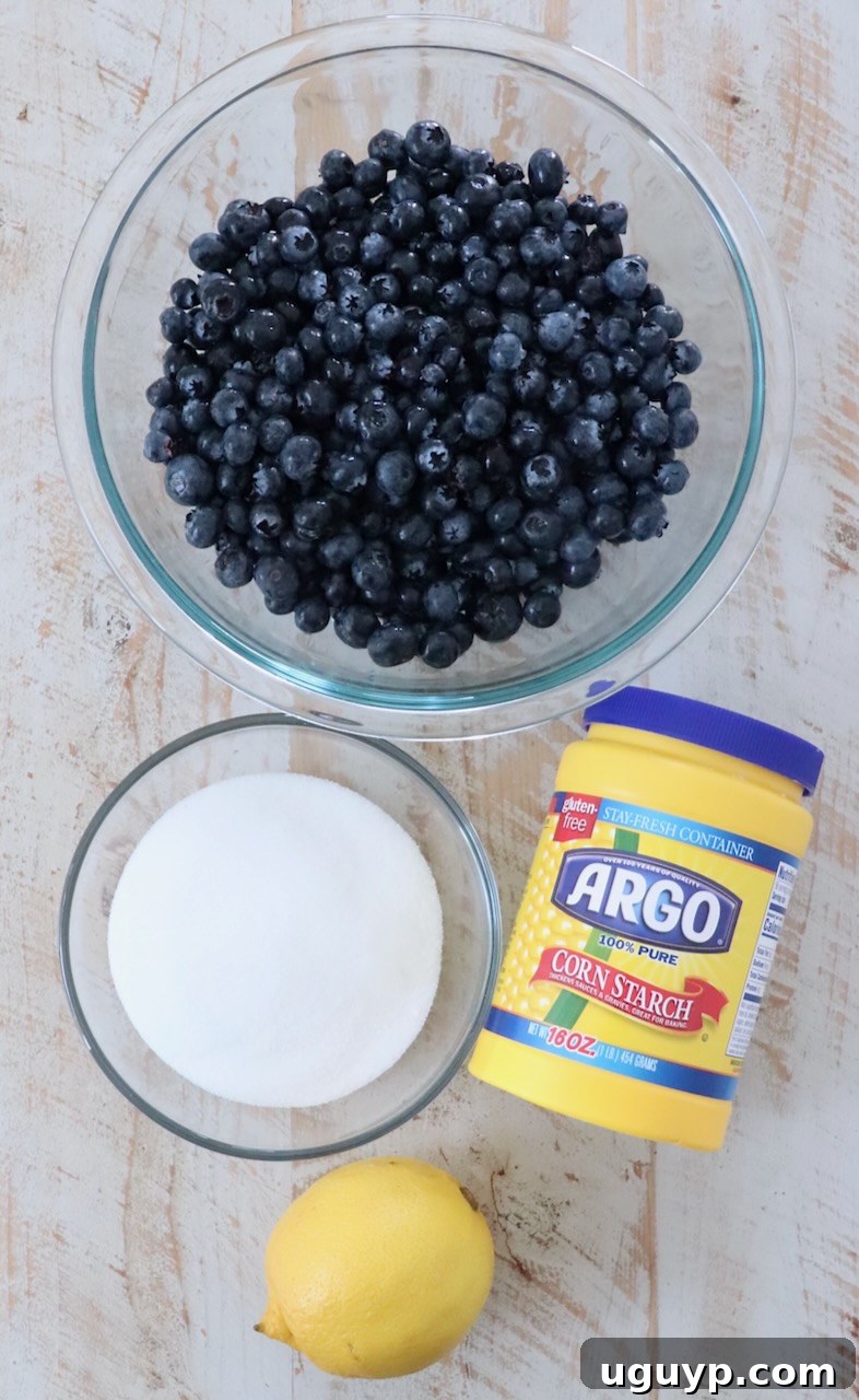 Fresh blueberries, sugar, cornstarch, and lemon on a counter – all the ingredients needed for homemade blueberry pie filling.