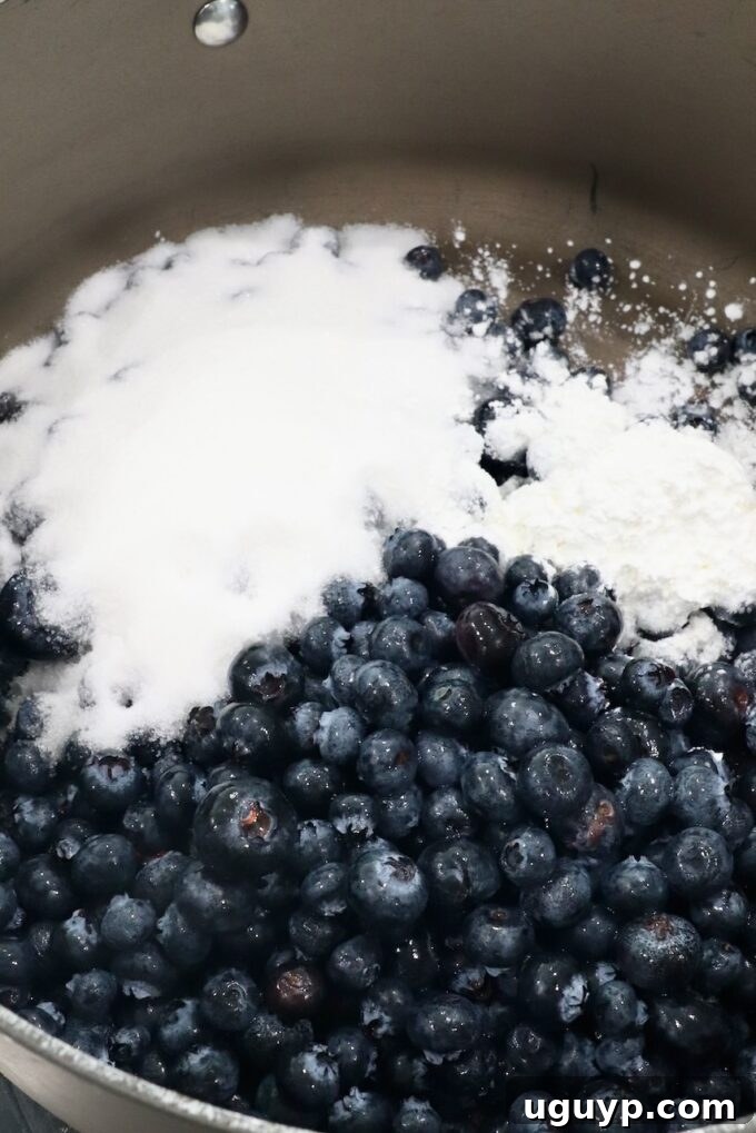 Fresh blueberries and granulated sugar in a large saucepan before cooking.