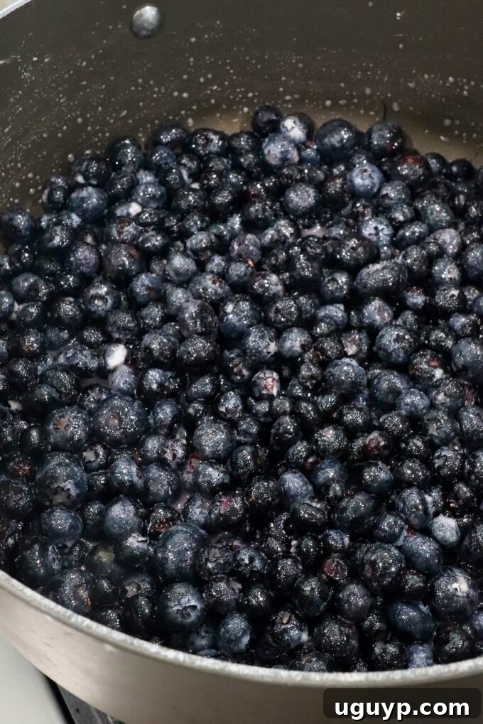 Blueberries beginning to cook down in a large saucepan, releasing their juices.