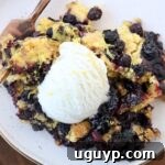 A delectable slice of blueberry dump cake on a white plate with a fork, generously topped with a scoop of creamy vanilla ice cream, ready to be enjoyed.