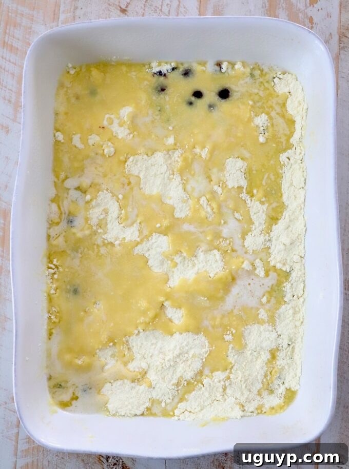 Dry cake mix evenly sprinkled over blueberry pie filling in a baking dish, then drizzled generously with melted butter, creating a patchy, golden top layer.