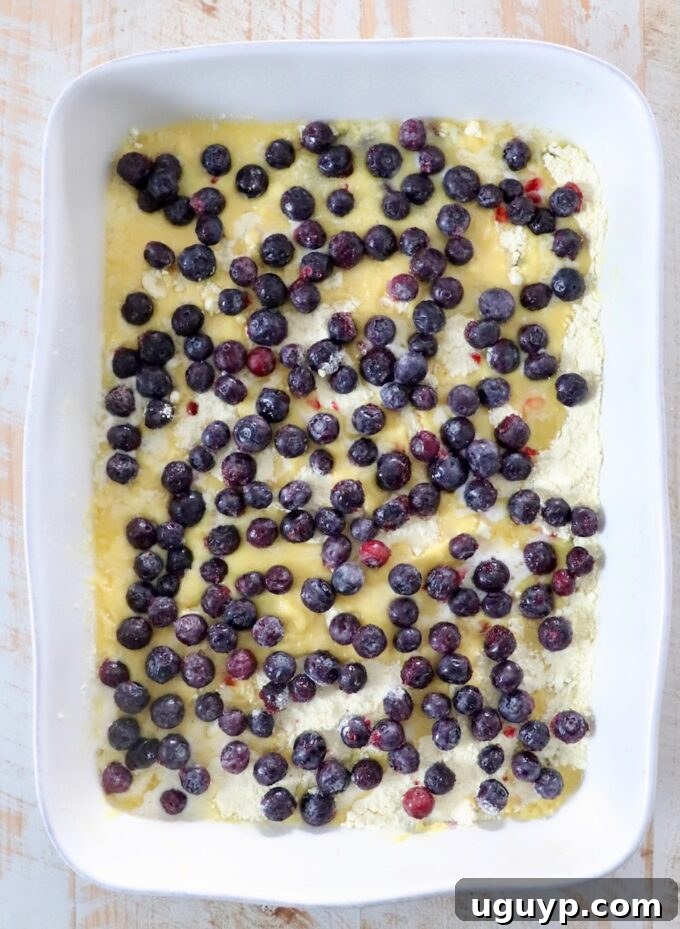 An uncooked blueberry dump cake in a baking dish, with layers of blueberry pie filling, dry cake mix, melted butter, and fresh blueberries visible before baking.