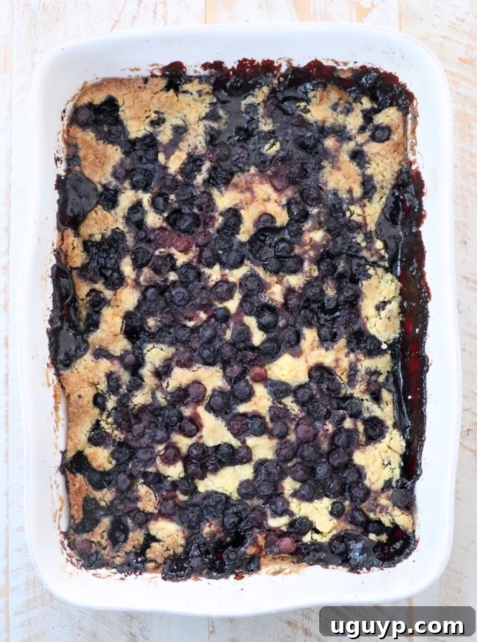 A freshly baked blueberry dump cake in a baking dish, golden brown and bubbling, with melted blueberry filling peeking through the crisp cake topping.