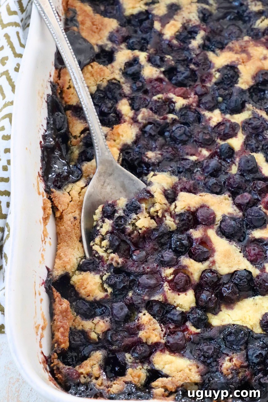A blueberry dump cake in a baking dish, with a serving spoon poised to scoop out a portion, highlighting its golden crust and bubbling fruit filling.