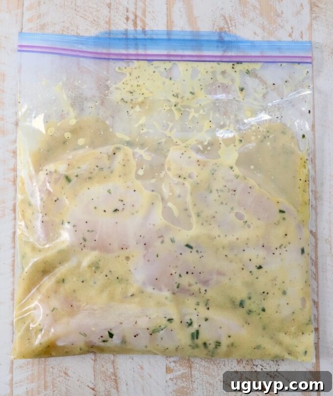 chicken in honey mustard marinade in zipper bag