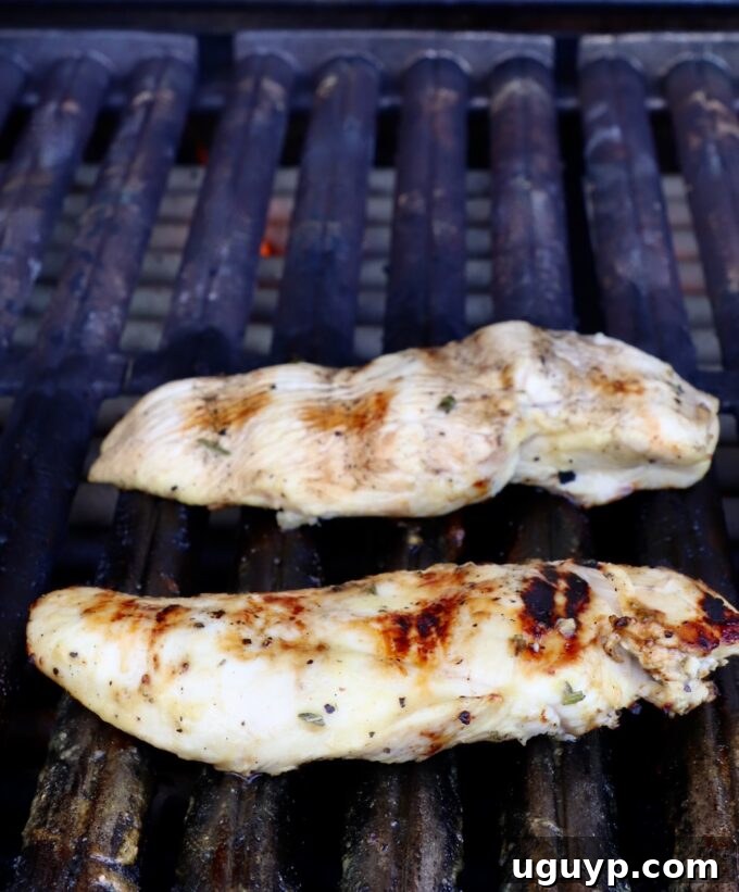 grilled chicken breasts on grill