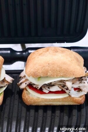 turkey sandwich inside an indoor grill