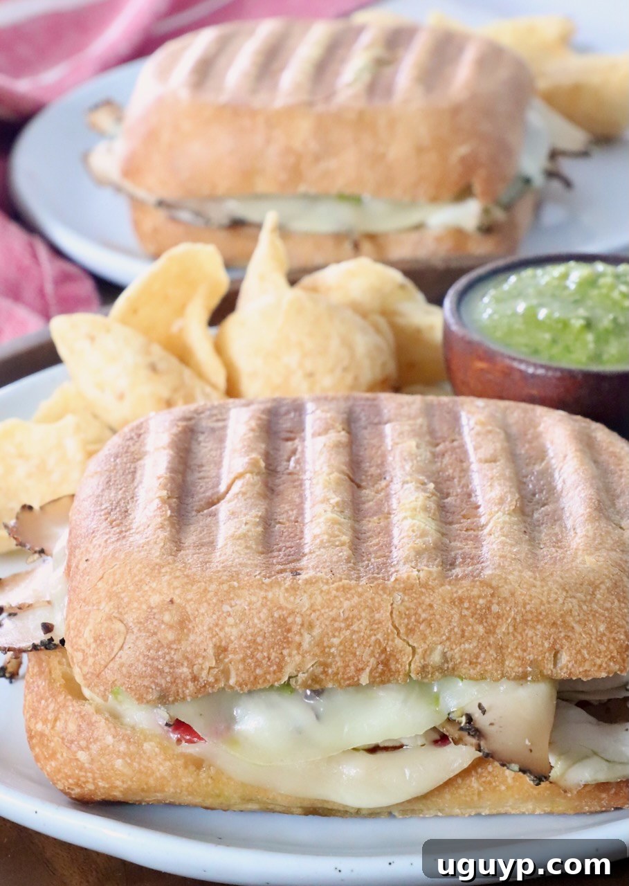 Hot turkey panini sandwich on a plate with potato chips as a side