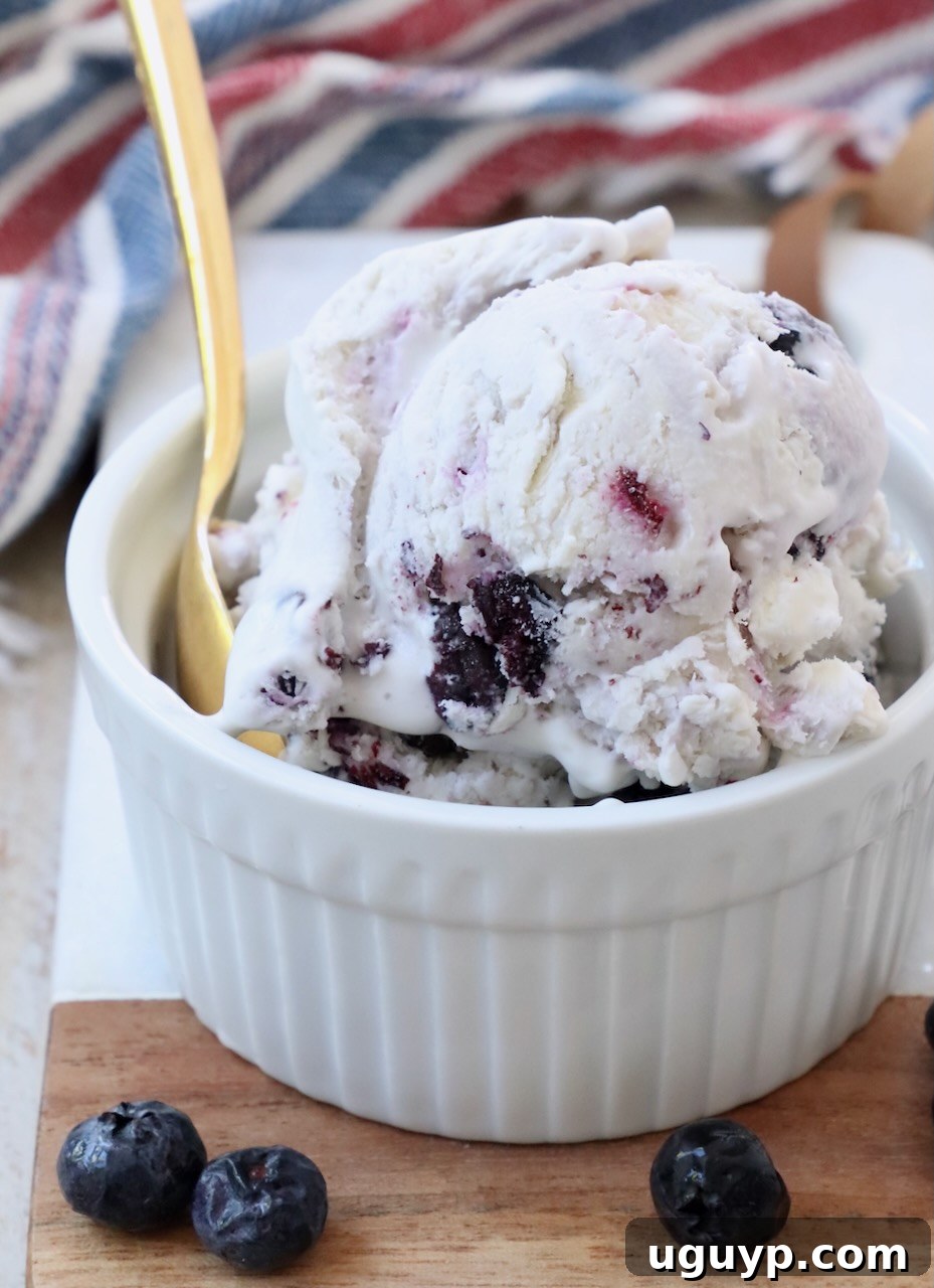 scoops of luscious blueberry ice cream in a small bowl, garnished with fresh blueberries and a golden spoon
