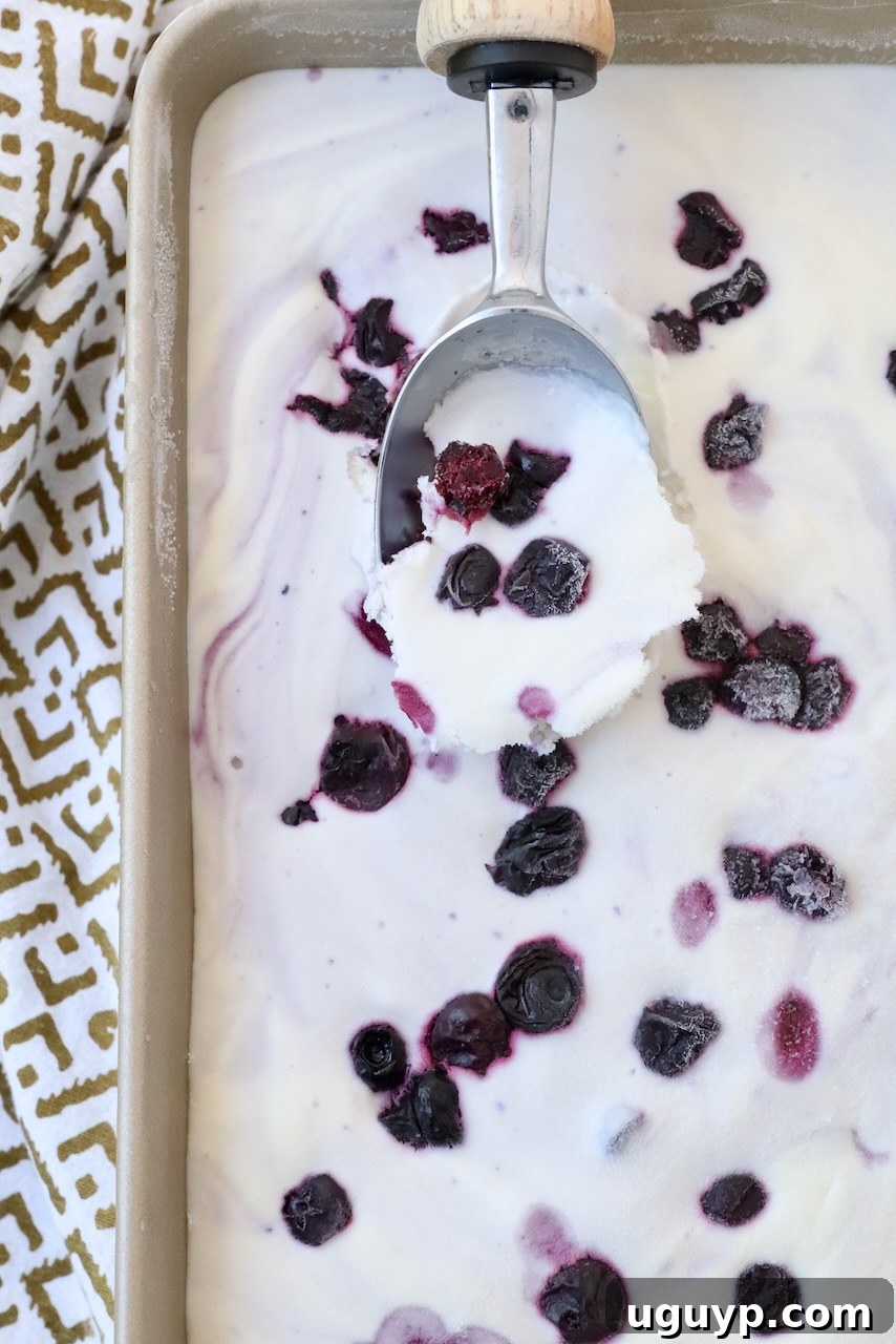 A metal container of homemade blueberry ice cream with an ice cream scoop resting inside, ready to serve.