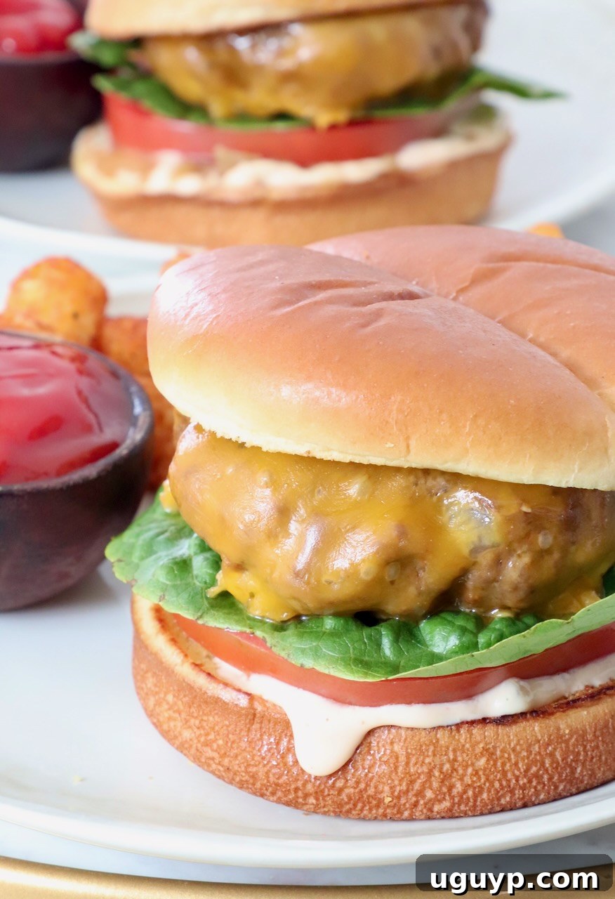 Cooked cheeseburger on a plate with a side of ketchup, showcasing its juicy appearance.