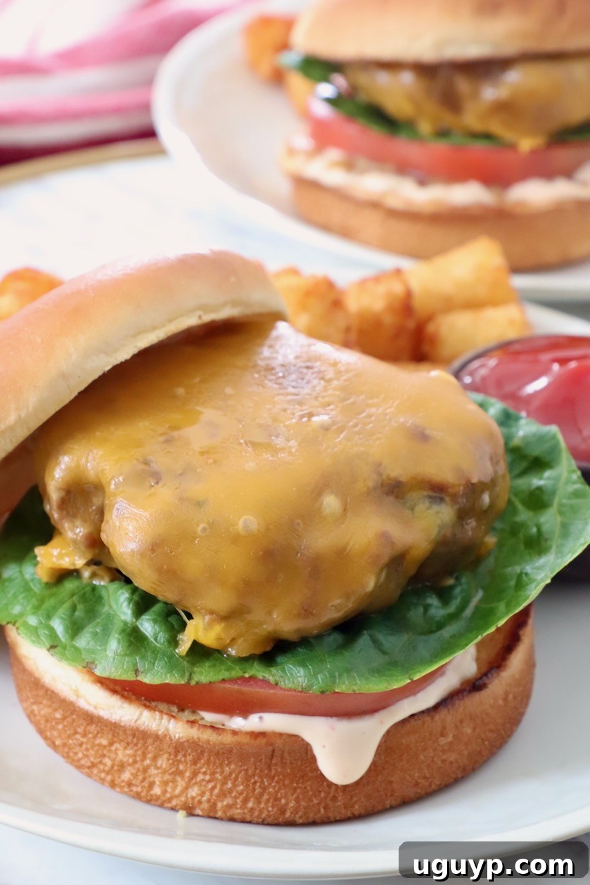 A cheeseburger on a bun, topped with fresh lettuce, tomato, and burger sauce, ready to be enjoyed.