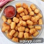 cooked tater tots on plate with small bowl of ketchup