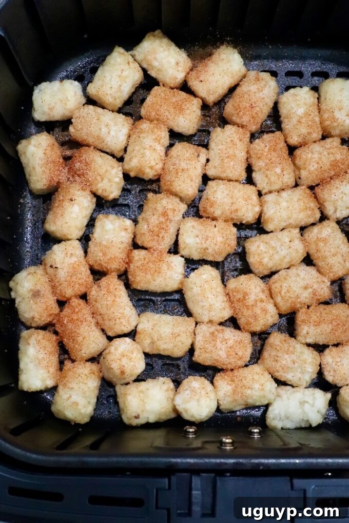 seasoned frozen tater tots in an air fryer basket