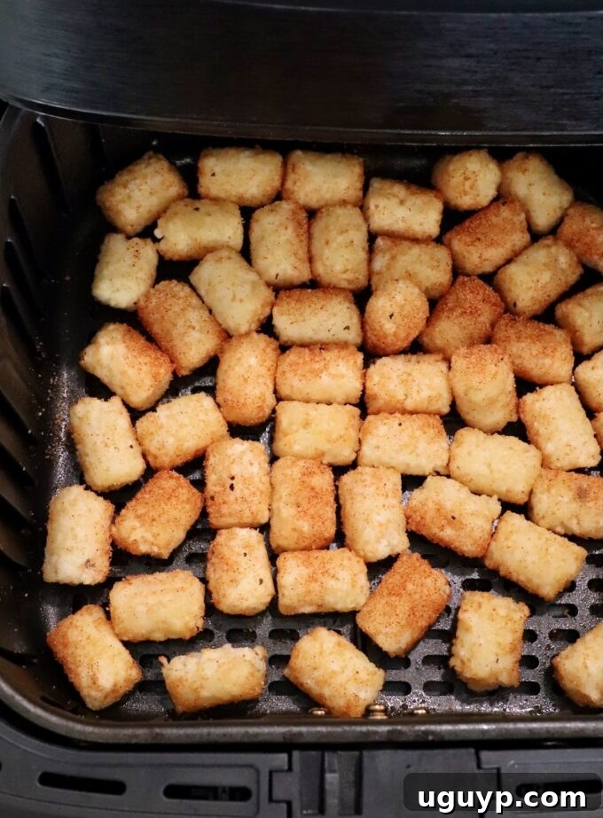 cooked seasoned tater tots in an air fryer basket