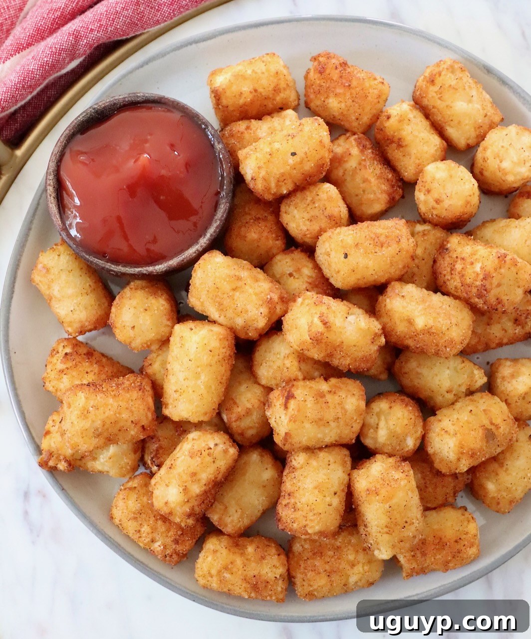 cooked seasoned tater tots on plate with small bowl of ketchup