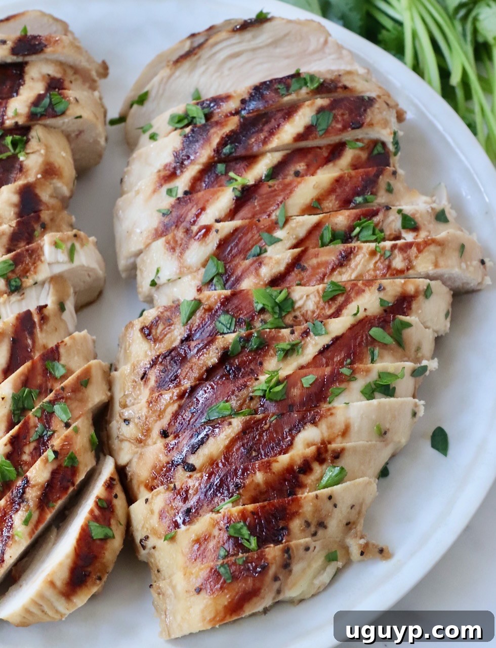 Beautifully sliced grilled chicken breasts on a pristine white plate, showcasing the marinade's effect on tenderness and flavor.