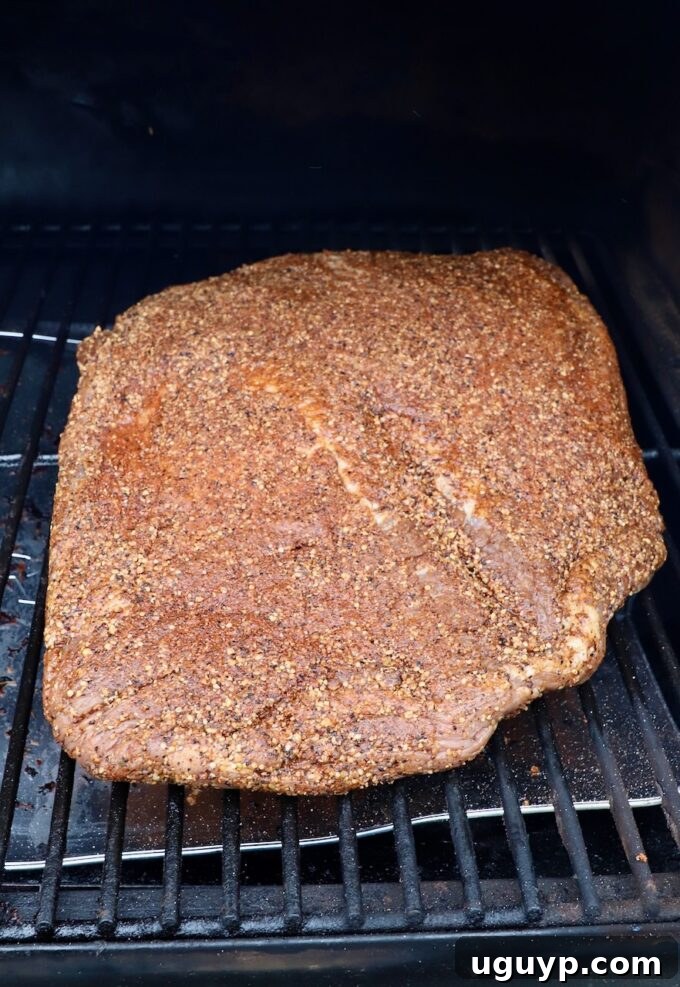 seasoned brisket placed on the grates of a smoker, ready for cooking