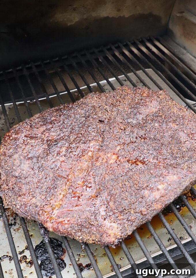 smoked brisket on a smoker, showing a dark, caramelized crust