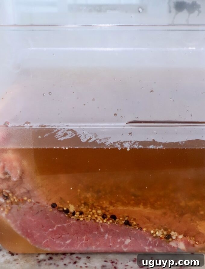 brisket fully submerged in brine in a plastic container, ready for refrigeration