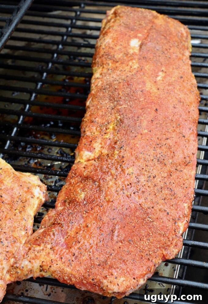 Freshly seasoned baby back ribs placed meat-side up directly on the grates of a preheated smoker, ready for the initial smoking phase.