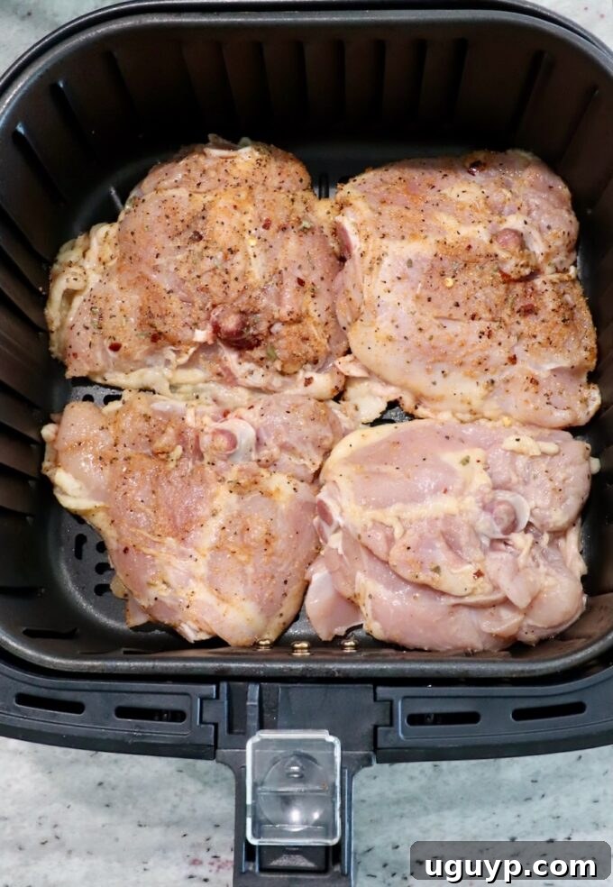 seasoned raw bone-in chicken thighs in air fryer basket, skin-side down