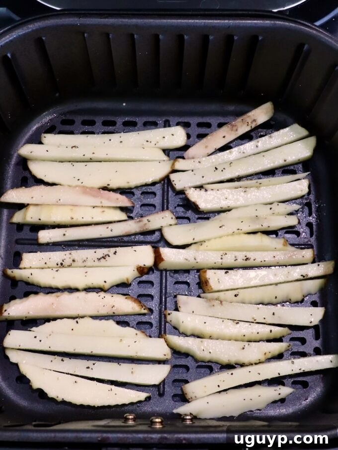 Seasoned sliced potatoes placed in a single layer within an air fryer basket, prepped for cooking.
