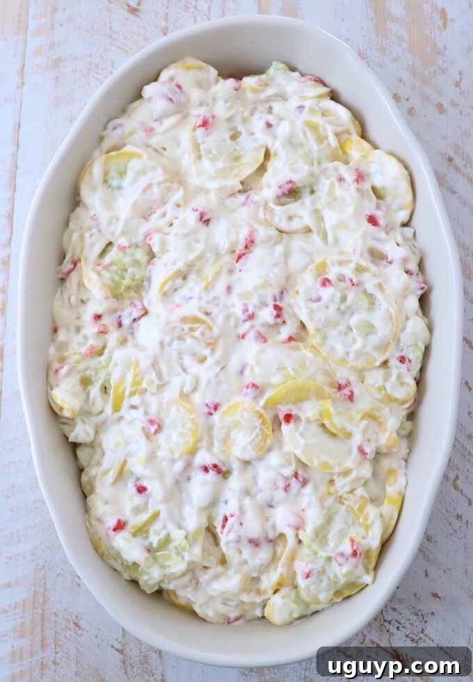 Creamy squash mixture spread evenly in a prepared 9x13 inch casserole dish, ready for topping.