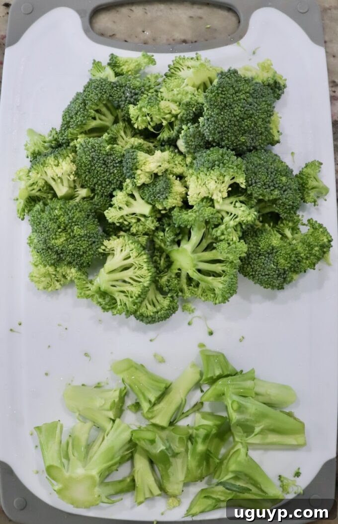 Broccoli florets and stems neatly separated on a cutting board, prepared for chopping and shredding.