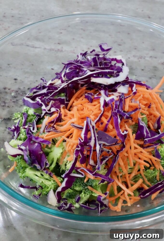 A large mixing bowl containing chopped broccoli, shredded carrots, and shredded cabbage, forming the base of the slaw.