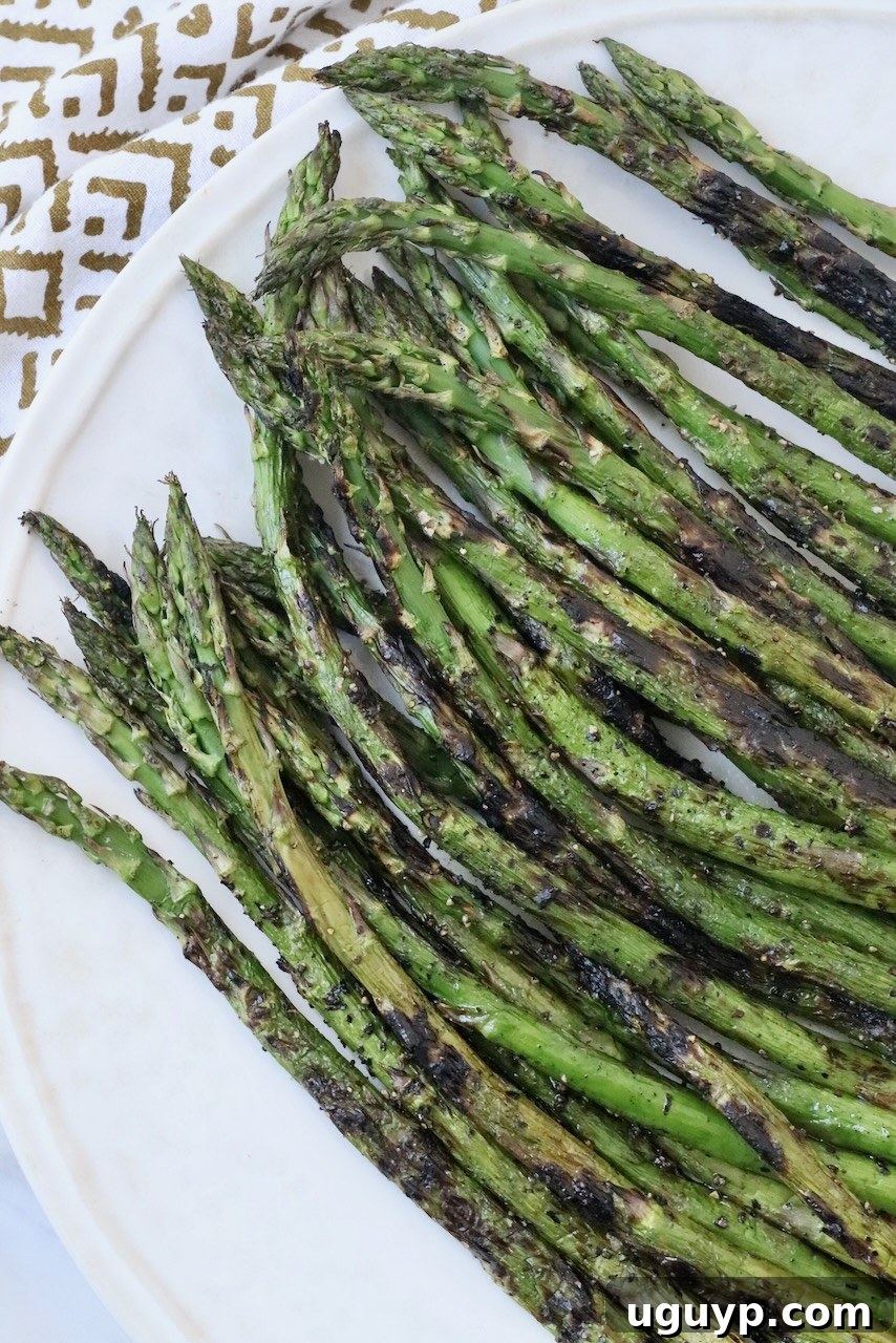 Grilled asparagus spears elegantly arranged on a serving plate.